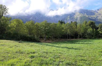 Casa ai piedi del monte Camicia - Photo 30