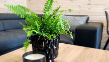 Ekosfera Piława Apartamenty z podgrzewanym basenem - Foto 5