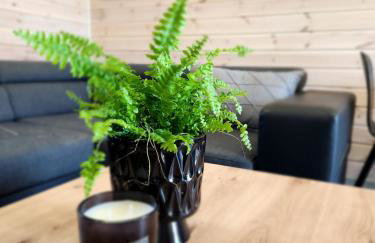 Ekosfera Piława Apartamenty z podgrzewanym basenem - Foto 5