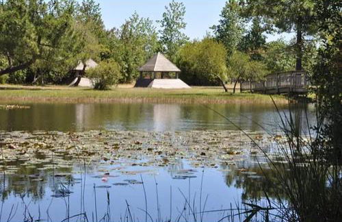 250 lake waterfront holiday apartment with garden - Foto 18