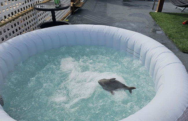 Cozy and Modern Apartment Black & White With Jacuzzi on Terrace - Photo 28