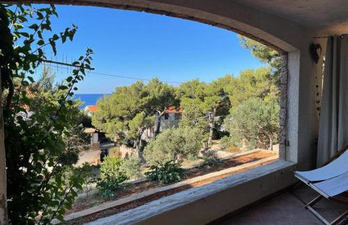 Apartmani Vranković - Foto 28