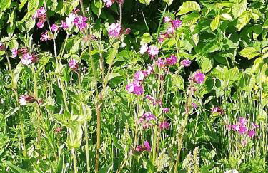 Schnetter Hummel, Apartment 1 - Foto 30