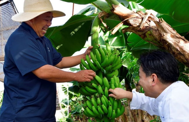 The Uza Terrace Beach Club Villas - Photo 65