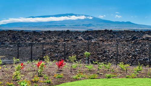Ainamalu at Waikoloa Beach Resort - Foto 4