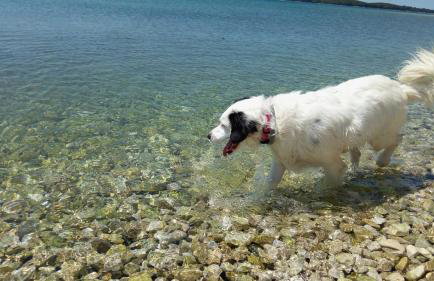 Apartmani Tara Medulin - Foto 78