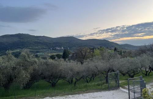 Casa di Farfa - Foto 35