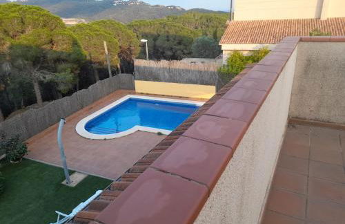 Exclusive Virginia Lloret - Foto 2