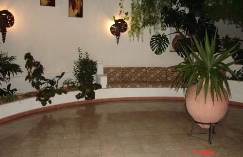 Jeannie's Oura Estrela - Foto 42