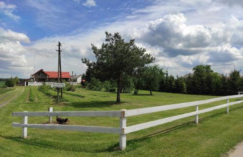 Agroturystyka Kobylnica nad Wisłą - Foto 46