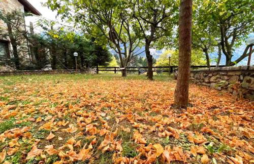 Pinecone Lodge, Eptalofos Wellness Garden Chalet - Foto 54