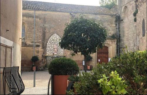 La Vigneronne - Foto 51