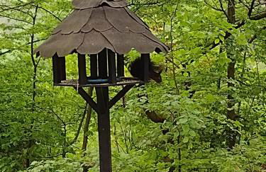 Olifant in Osterode - Foto 80