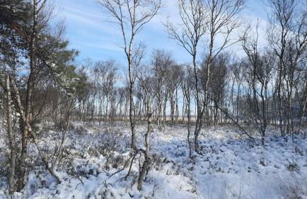 Ferienwohnung Brunnenstrasse - Foto 28