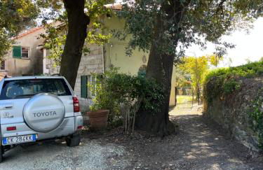 Villa Ponzio - Photo 17