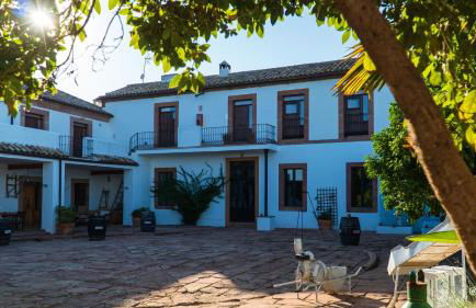 Molino la Nava - Foto 87