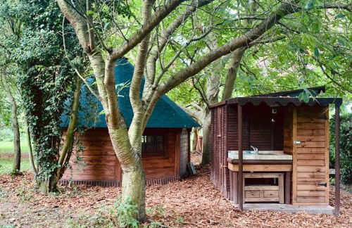 Starry Meadow & Rescued Animal Experiences - Foto 28