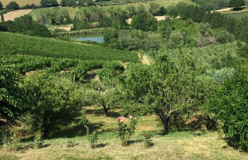 Villetta le Rose - Foto 30