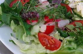 klassMo Kulturcafe&Gästehaus mit Kulturwerkstatt - Foto 22