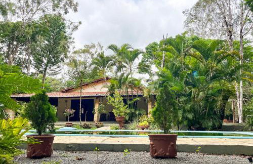 ranchorouxinol - Foto 15