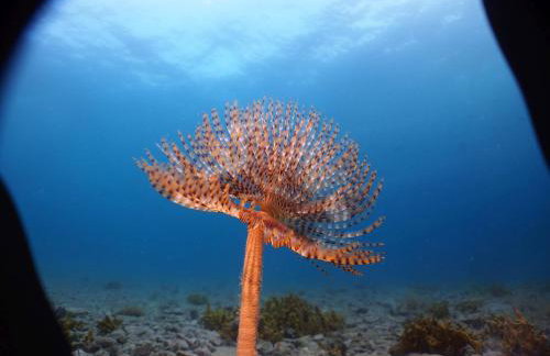 Apartments Bikin - Foto 11