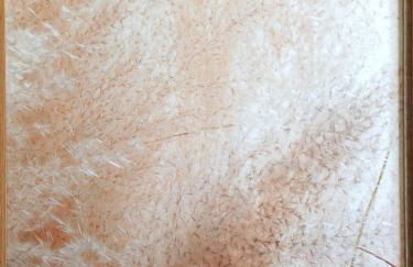 Apartamento Ladevesa - Foto 38