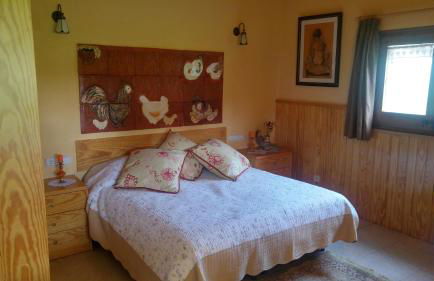 Mas Can Cels - Photo 12