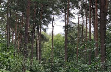 The Old Laundry - Foto 39