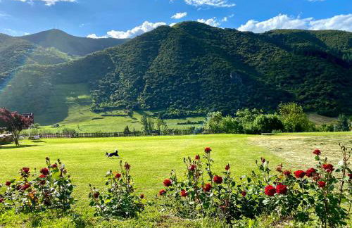 Casa Rural Alquitara - Photo 9