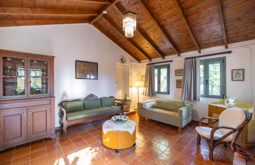 MiraFysee Farm - Foto 16