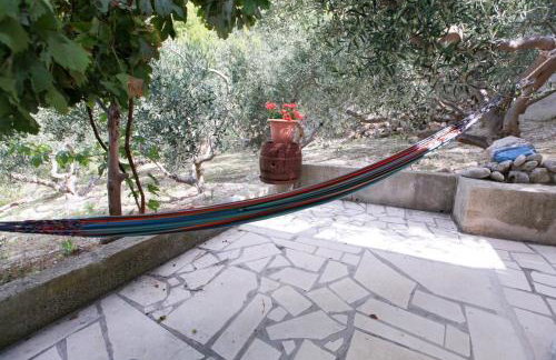 Robinson Erina - Photo 25