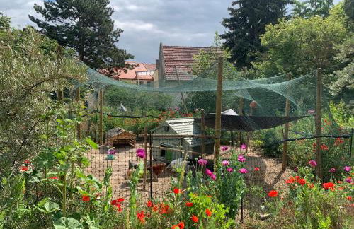 Das "Sommerhaus" in Bingen am Rhein - Foto 26