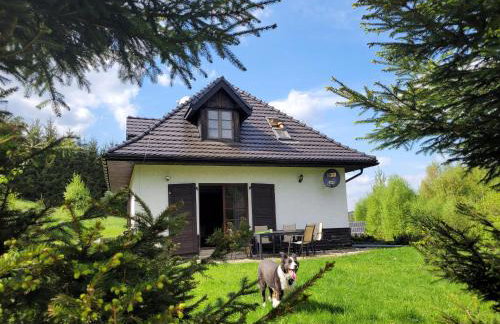 Chata pod Śnieżnikiem - Foto 21