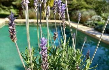 Casa do Sul - Foto 14