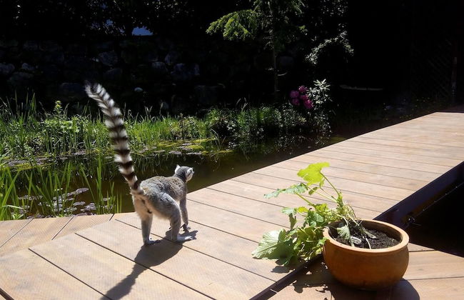 Basislager Kaiser Kaiserhaus - Foto 13