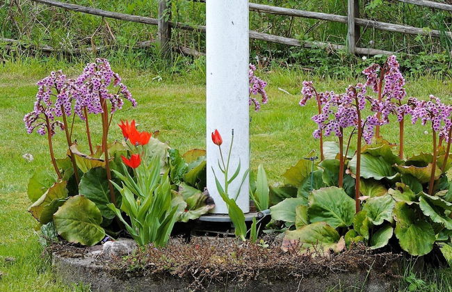 6 Person Holiday Home in Odensbacken-by Traum - Foto 23