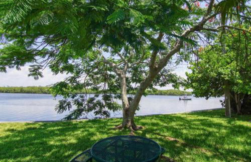 Little Harbor Resort #507 Tampa Bay FL Beach, Riverview Romance - Foto 20