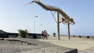 CHC - Apartamento Canarina - Foto 2