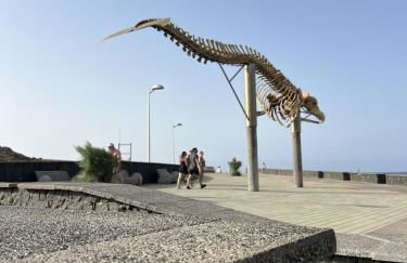 CHC - Apartamento Canarina - Foto 2