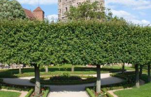 City Home- Business Apartment, private Parking Free - Foto 19