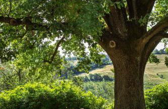 Agriturismo Molino Nuovo - Foto 47