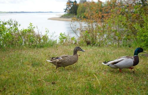 Schlei-Panorama - Foto 25