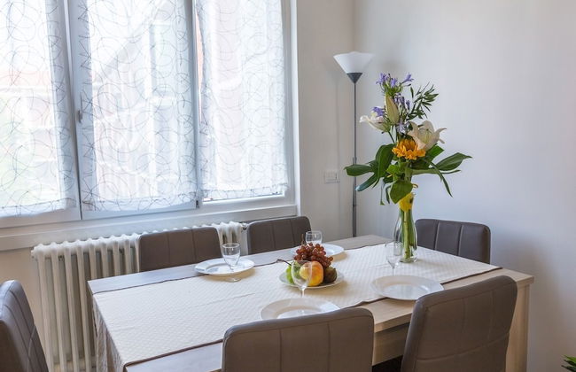 Sem Benelli - Photo 21