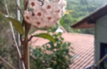 Solar Mirandela - Foto 54