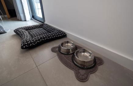 Apezinho Moema - Photo 18