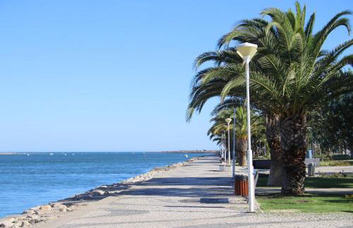 Villa Audiência 49 - Photo 16