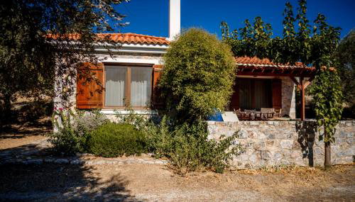 Traditional Stone House in Seafront Olive Grove A - Foto 3, Garden, Garden view