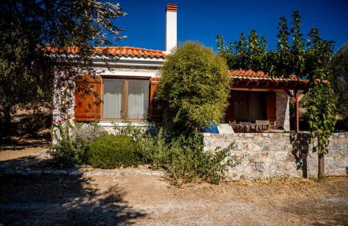 Traditional Stone House in Seafront Olive Grove A - Photo 3