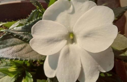 Peaks & Waves Apartment - Photo 22