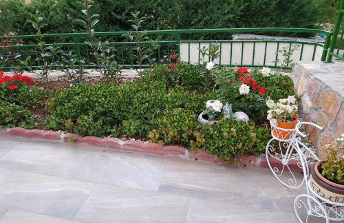 Diana Holiday Home - Foto 22